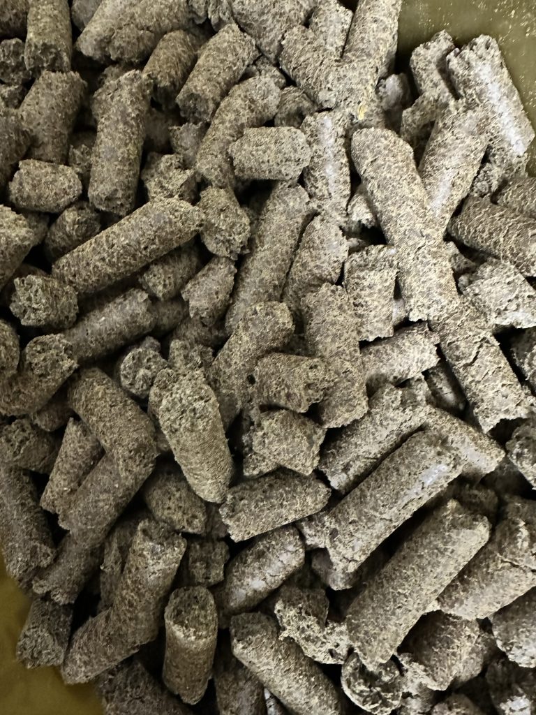 Hanfpellets von Bio Hanf Plantage aus Frankreich Durchmesser 12mm - Länge variiert